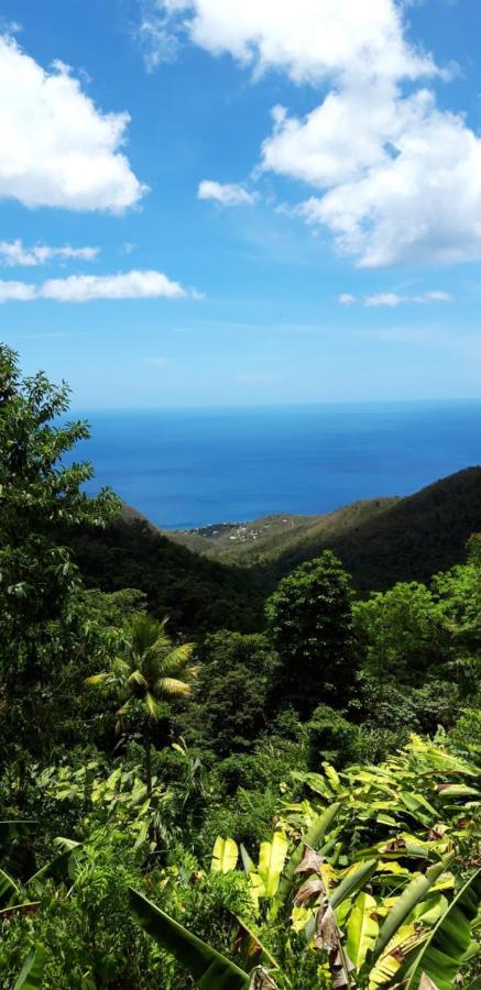 Cote Caraibes Apartment Bouillante Bagian luar foto