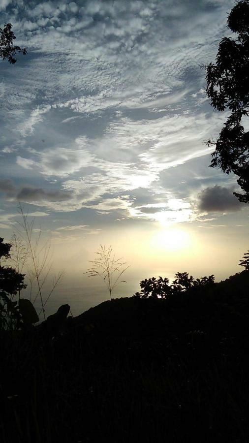 Cote Caraibes Apartment Bouillante Bagian luar foto